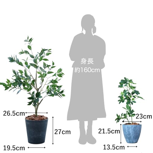 Botanical life+ フェイクグリーン 観葉植物 光触媒 日本製 消臭 抗菌 シェフレラ 65cm Dシリーズ PT08