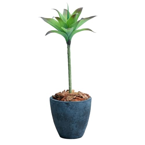 Botanical life+ フェイクグリーン 観葉植物 光触媒 日本製 消臭 抗菌 アガベ 1本 75cm Dシリーズ  MAIN