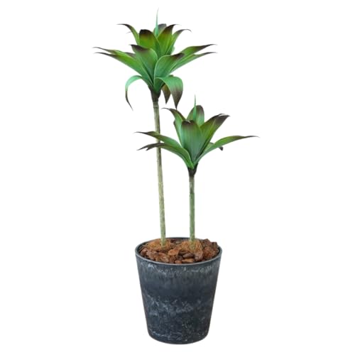Botanical life+ フェイクグリーン 観葉植物 光触媒 日本製 消臭 抗菌 アガベ 2本 100cm Dシリーズ  MAIN