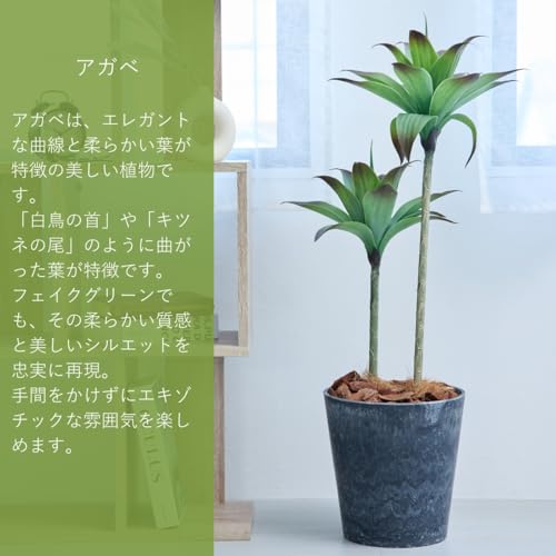 Botanical life+ フェイクグリーン 観葉植物 光触媒 日本製 消臭 抗菌 アガベ 2本 100cm Dシリーズ  PT04