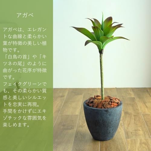 Botanical life+ フェイクグリーン 観葉植物 光触媒 日本製 消臭 抗菌 アガベ 1本 75cm Dシリーズ  PT04