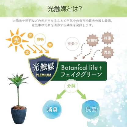 Botanical life+ フェイクグリーン 観葉植物 光触媒 日本製 消臭 抗菌 アガベ 1本 75cm Dシリーズ  PT01