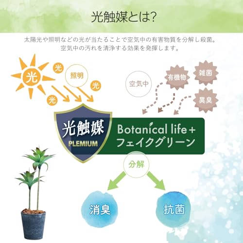 Botanical life+ フェイクグリーン 観葉植物 光触媒 日本製 消臭 抗菌 アガベ 2本 100cm Dシリーズ  PT02