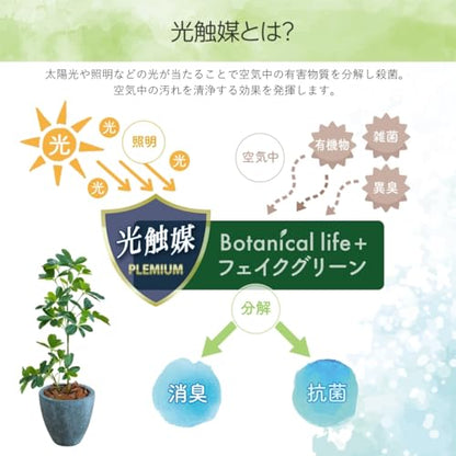 Botanical life+ フェイクグリーン 観葉植物 光触媒 日本製 消臭 抗菌 シェフレラ 65cm Dシリーズ  PT01