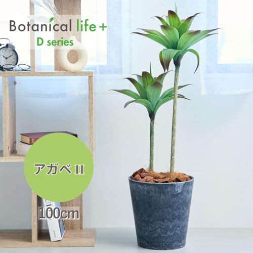 Botanical life+ フェイクグリーン 観葉植物 光触媒 日本製 消臭 抗菌 アガベ 2本 100cm Dシリーズ  PT01