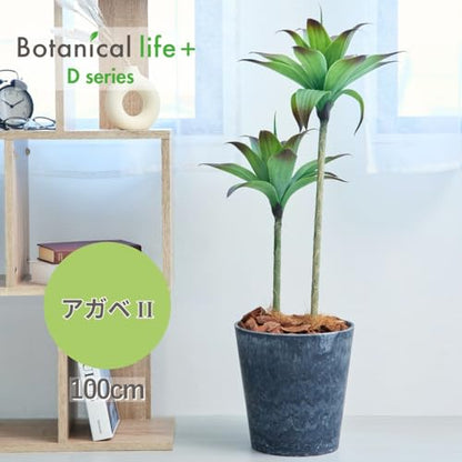 Botanical life+ フェイクグリーン 観葉植物 光触媒 日本製 消臭 抗菌 アガベ 2本 100cm Dシリーズ  PT01