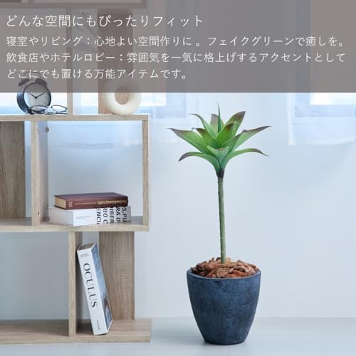 Botanical life+ フェイクグリーン 観葉植物 光触媒 日本製 消臭 抗菌 アガベ 1本 75cm Dシリーズ  PT02