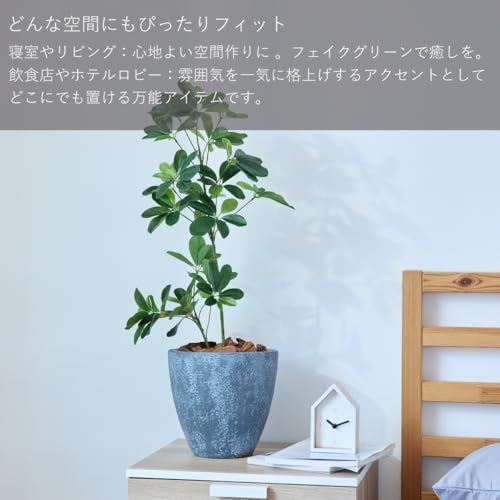 Botanical life+ フェイクグリーン 観葉植物 光触媒 日本製 消臭 抗菌 シェフレラ 65cm Dシリーズ  PT02