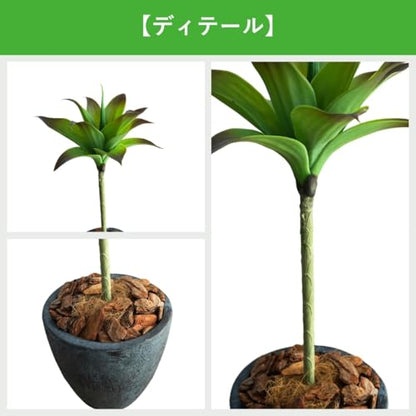 Botanical life+ フェイクグリーン 観葉植物 光触媒 日本製 消臭 抗菌 アガベ 1本 75cm Dシリーズ  PT05