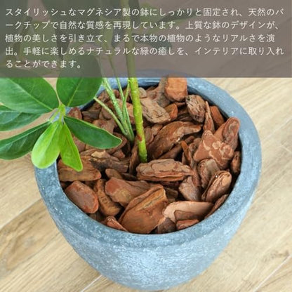 Botanical life+ フェイクグリーン 観葉植物 光触媒 日本製 消臭 抗菌 シェフレラ 65cm Dシリーズ  PT03