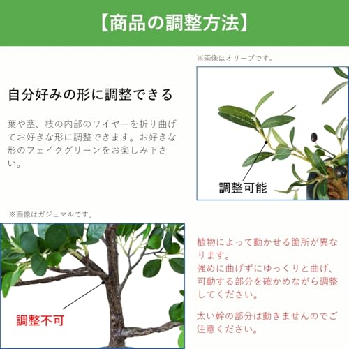 Botanical life+ フェイクグリーン 観葉植物 光触媒 日本製 消臭 抗菌 アガベ 2本 100cm Dシリーズ  PT06