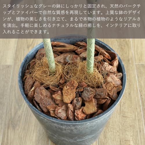 Botanical life+ フェイクグリーン 観葉植物 光触媒 日本製 消臭 抗菌 アガベ 2本 100cm Dシリーズ  PT03