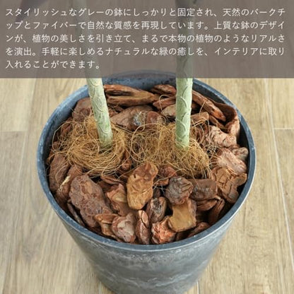 Botanical life+ フェイクグリーン 観葉植物 光触媒 日本製 消臭 抗菌 アガベ 2本 100cm Dシリーズ  PT03