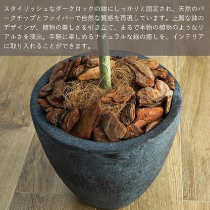 Botanical life+ フェイクグリーン 観葉植物 光触媒 日本製 消臭 抗菌 アガベ 1本 75cm Dシリーズ  PT03