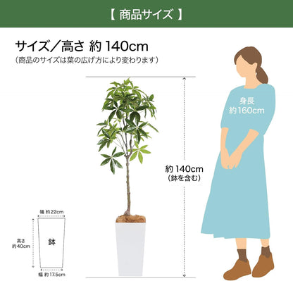 Botanical life+ フェイクグリーン 観葉植物 光触媒 大型 消臭 抗菌 パキラ 140cm Kシリーズ  PT05