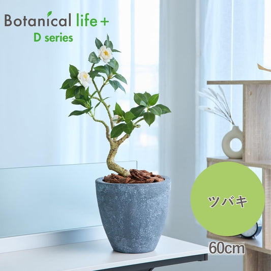 Botanical life+ フェイクグリーン 観葉植物 光触媒 日本製 消臭 抗菌 ツバキ 盆栽 60cm Dシリーズ  PT01