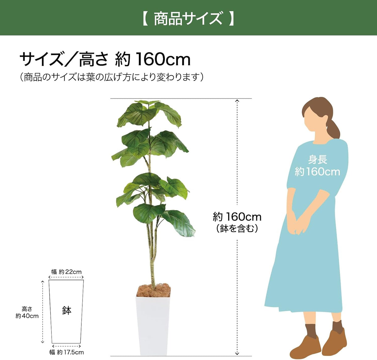Botanical life+ フェイクグリーン 観葉植物 光触媒 大型 消臭 抗菌 ウンベラータ 160cm Kシリーズ  PT05