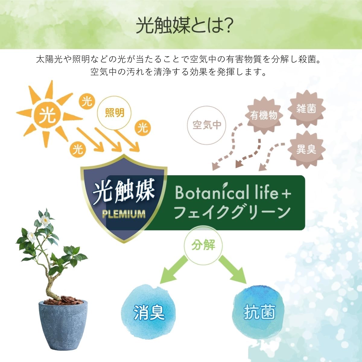 Botanical life+ フェイクグリーン 観葉植物 光触媒 日本製 消臭 抗菌 ツバキ 盆栽 60cm Dシリーズ  PT02