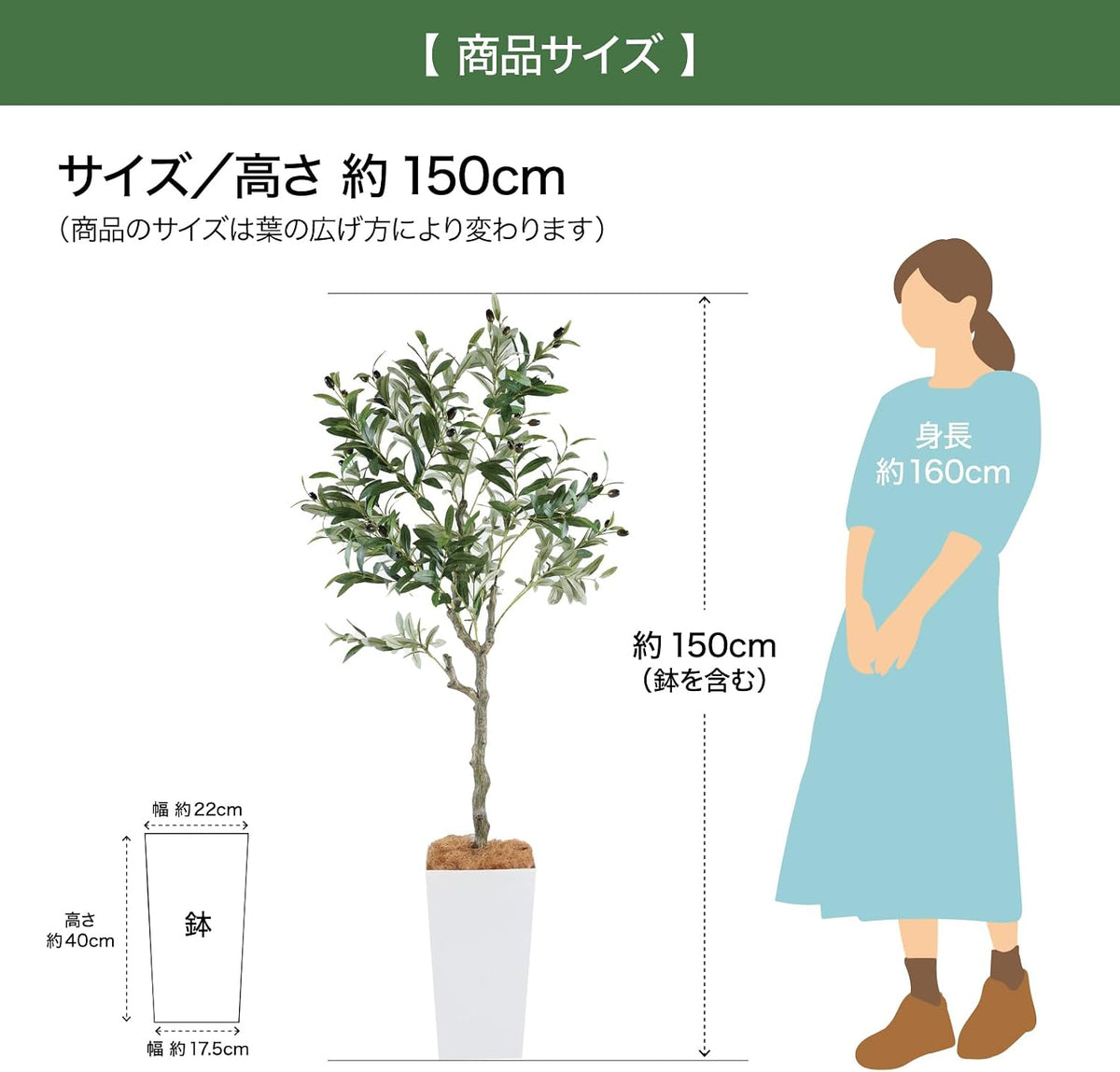 Botanical life+ フェイクグリーン 観葉植物 光触媒 大型 消臭 抗菌 オリーブ 150cm Kシリーズ  PT05