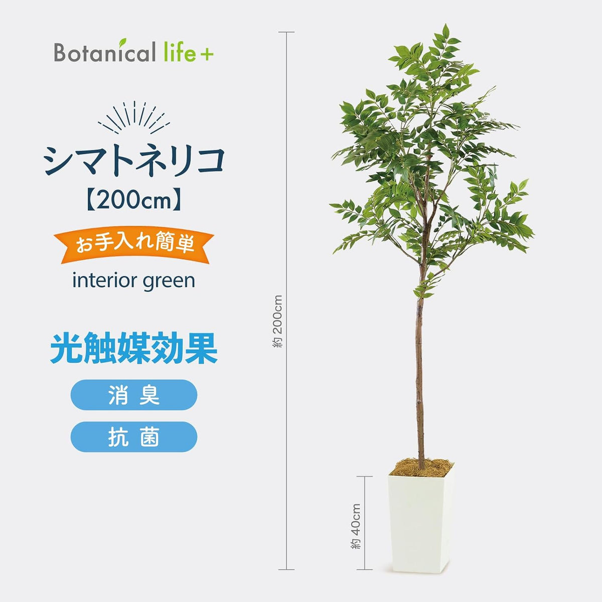Botanical life+ フェイクグリーン 観葉植物 光触媒 大型 消臭 抗菌 シマトネリコ 200cm Kシリーズ  PT01