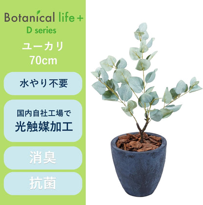 Botanical life+ フェイクグリーン 観葉植物 光触媒 日本製 消臭 抗菌 ユーカリ 70cm Dシリーズ  PT03