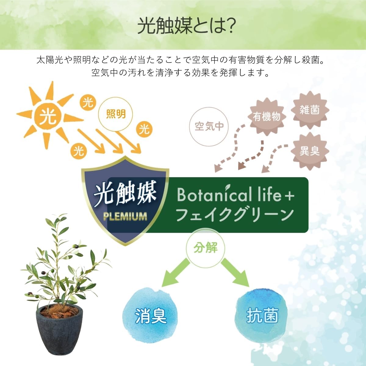 Botanical life+ フェイクグリーン 観葉植物 光触媒 日本製 消臭 抗菌 オリーブ 65cm Dシリーズ  PT02