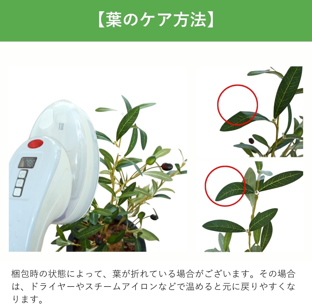Botanical life+ フェイクグリーン 観葉植物 光触媒 日本製 消臭 抗菌 ツバキ 盆栽 60cm Dシリーズ  PT07