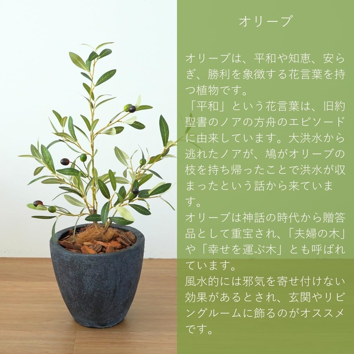 Botanical life+ フェイクグリーン 観葉植物 光触媒 日本製 消臭 抗菌 オリーブ 65cm Dシリーズ  PT04