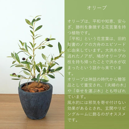 Botanical life+ フェイクグリーン 観葉植物 光触媒 日本製 消臭 抗菌 オリーブ 65cm Dシリーズ  PT04