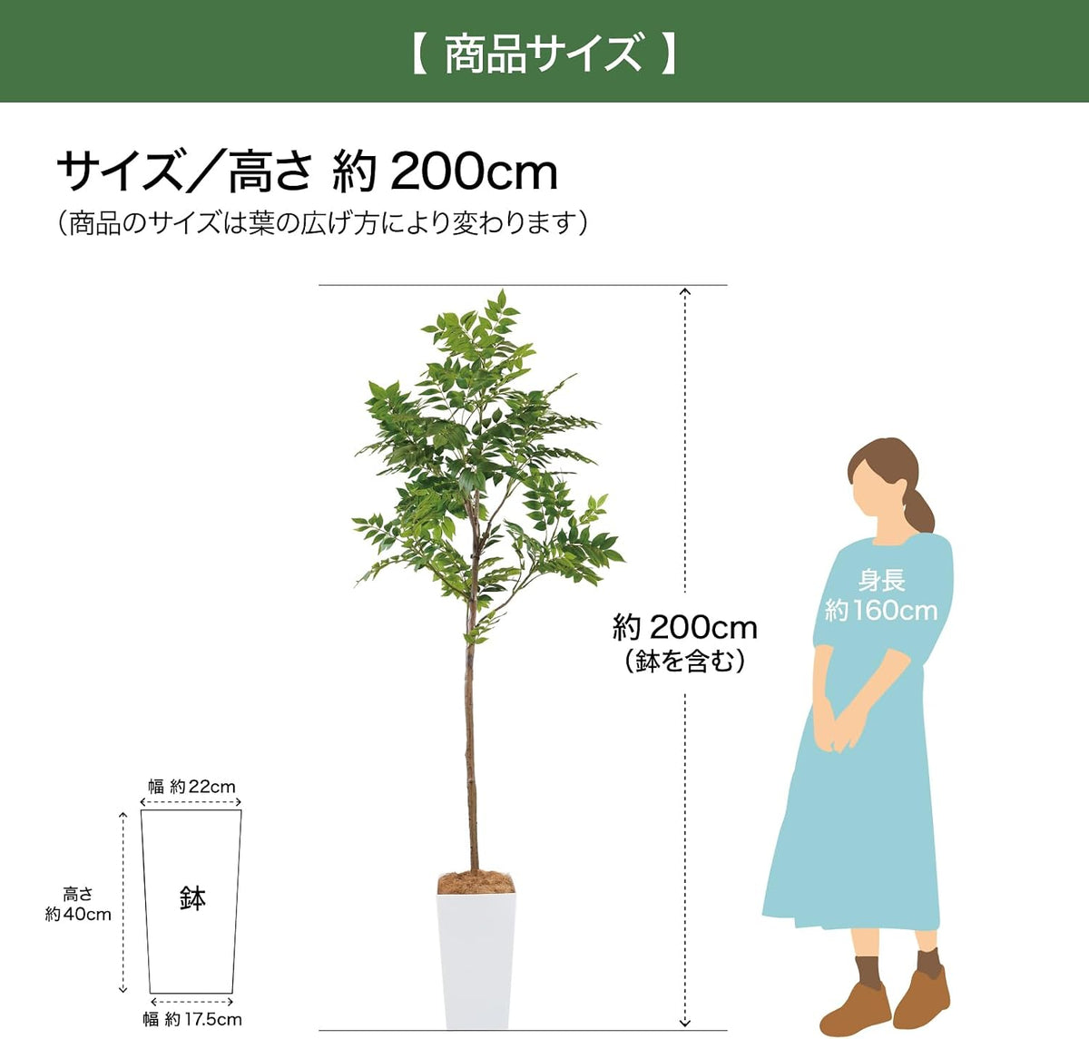 Botanical life+ フェイクグリーン 観葉植物 光触媒 大型 消臭 抗菌 シマトネリコ 200cm Kシリーズ  PT05