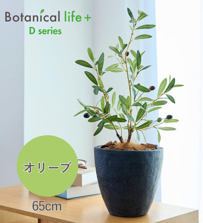 Botanical life+ フェイクグリーン 観葉植物 光触媒 日本製 消臭 抗菌 オリーブ 65cm Dシリーズ  PT01