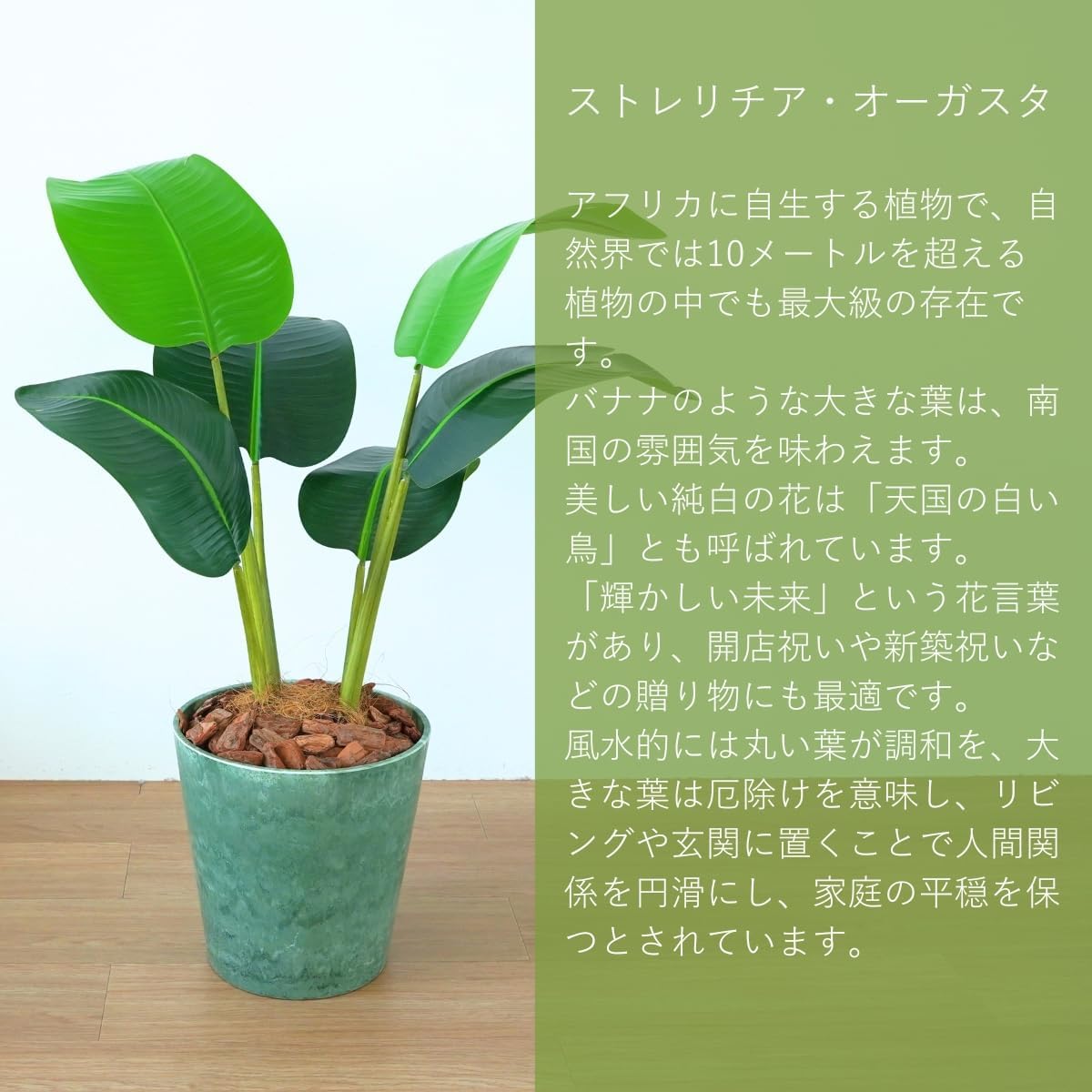 Botanical life+ フェイクグリーン 観葉植物 光触媒 日本製 消臭 抗菌 オーガスタ 80cm Dシリーズ  PT04