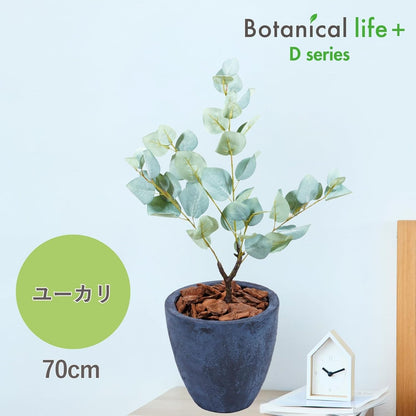 Botanical life+ フェイクグリーン 観葉植物 光触媒 日本製 消臭 抗菌 ユーカリ 70cm Dシリーズ  PT01