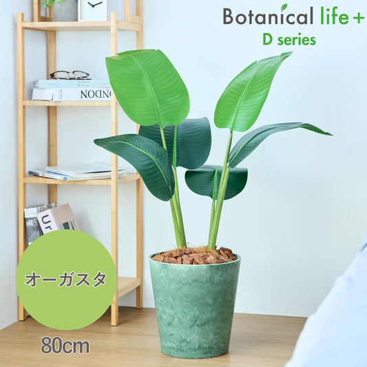 Botanical life+ フェイクグリーン 観葉植物 光触媒 日本製 消臭 抗菌 オーガスタ 80cm Dシリーズ  PT01