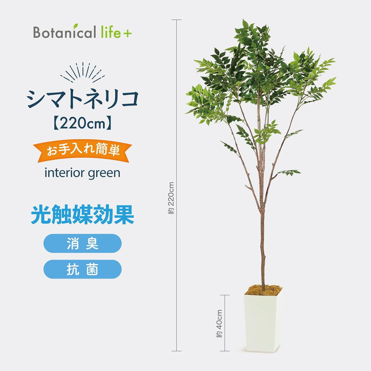 Botanical life+ フェイクグリーン 観葉植物 光触媒 大型 消臭 抗菌 シマトネリコ 220cm Kシリーズ  PT01