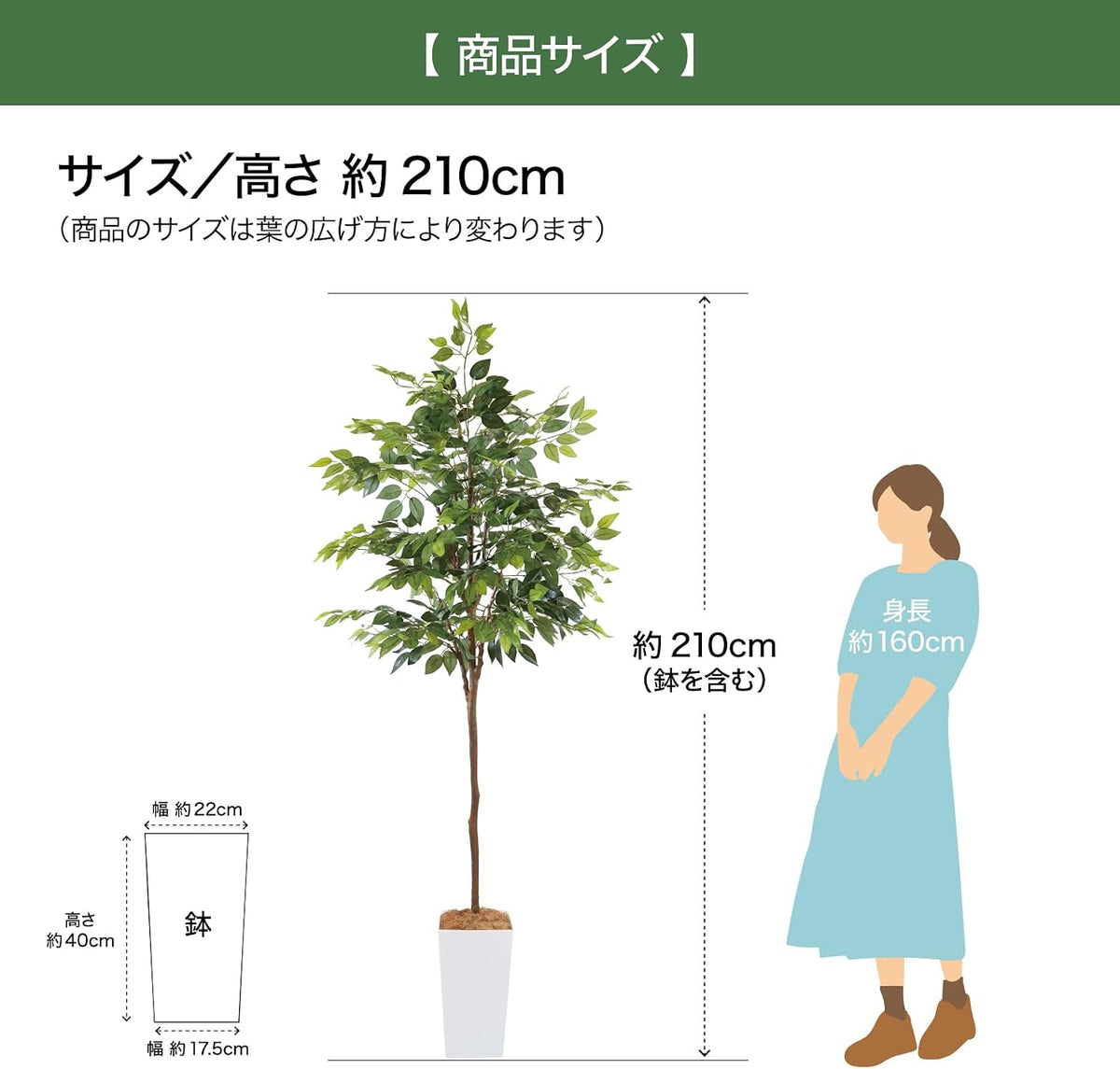 Botanical life+ フェイクグリーン 観葉植物 光触媒 大型 消臭 抗菌 ガジュマル 210cm Kシリーズ  PT05