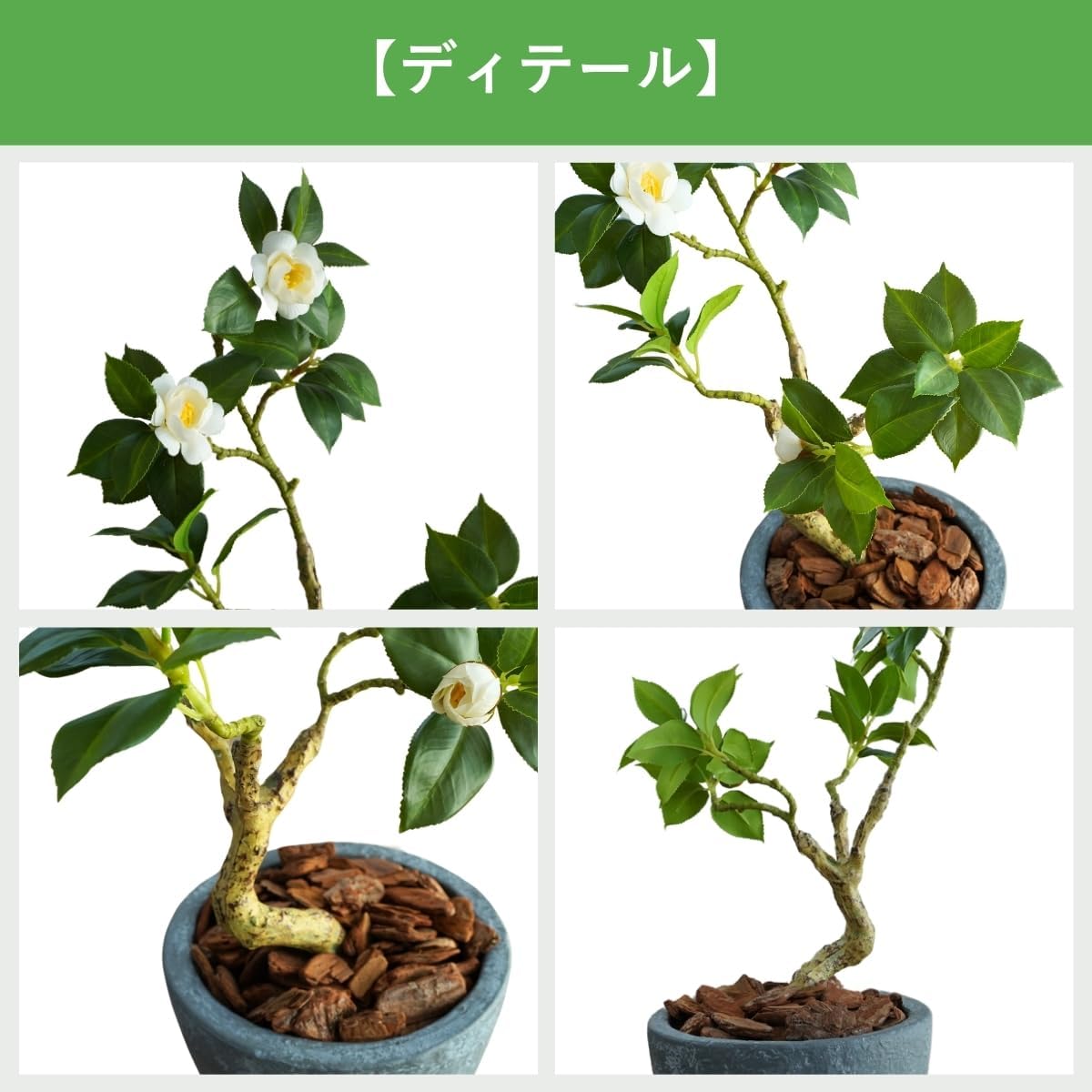 Botanical life+ フェイクグリーン 観葉植物 光触媒 日本製 消臭 抗菌 ツバキ 盆栽 60cm Dシリーズ  PT05