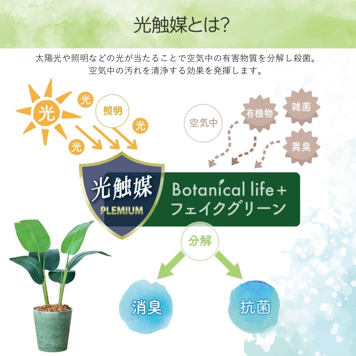 Botanical life+ フェイクグリーン 観葉植物 光触媒 日本製 消臭 抗菌 オーガスタ 80cm Dシリーズ  PT02