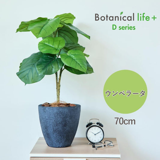 Botanical life+ フェイクグリーン 観葉植物 光触媒 日本製 消臭 抗菌 ウンベラータ 70cm Dシリーズ  PT01