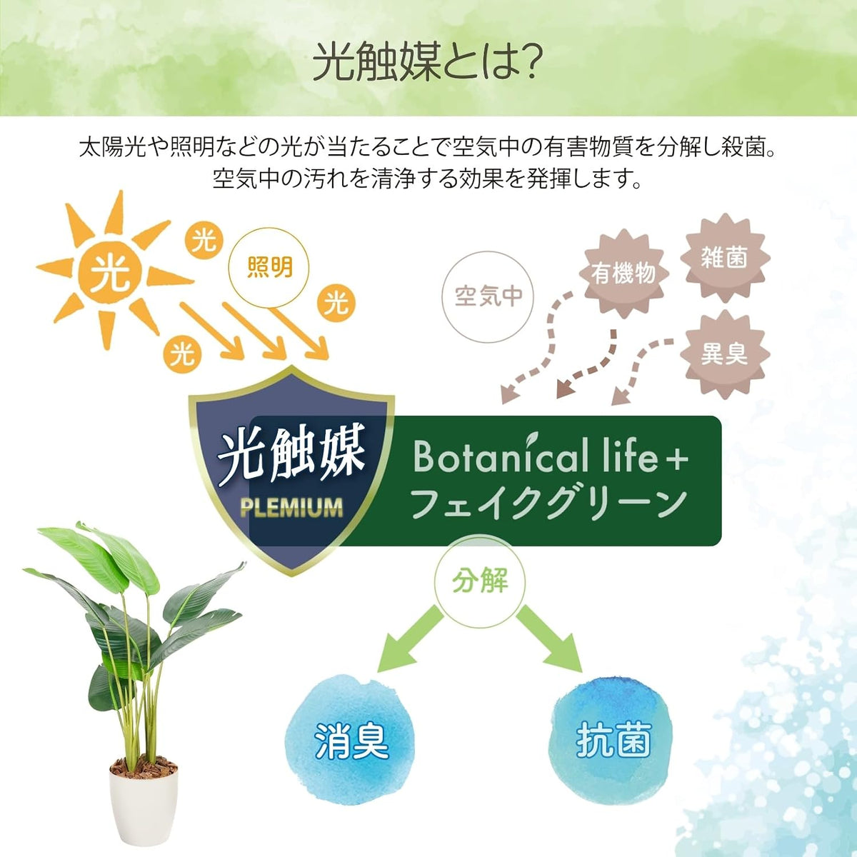 Botanical life+ フェイクグリーン 観葉植物 光触媒 日本製 消臭 抗菌 オーガスタ 120cm NBシリーズ  PT03