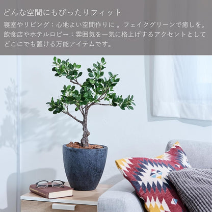 Botanical life+ フェイクグリーン 観葉植物 光触媒 日本製 消臭 抗菌 パンダガジュマル 70cm Dシリーズ  PT04