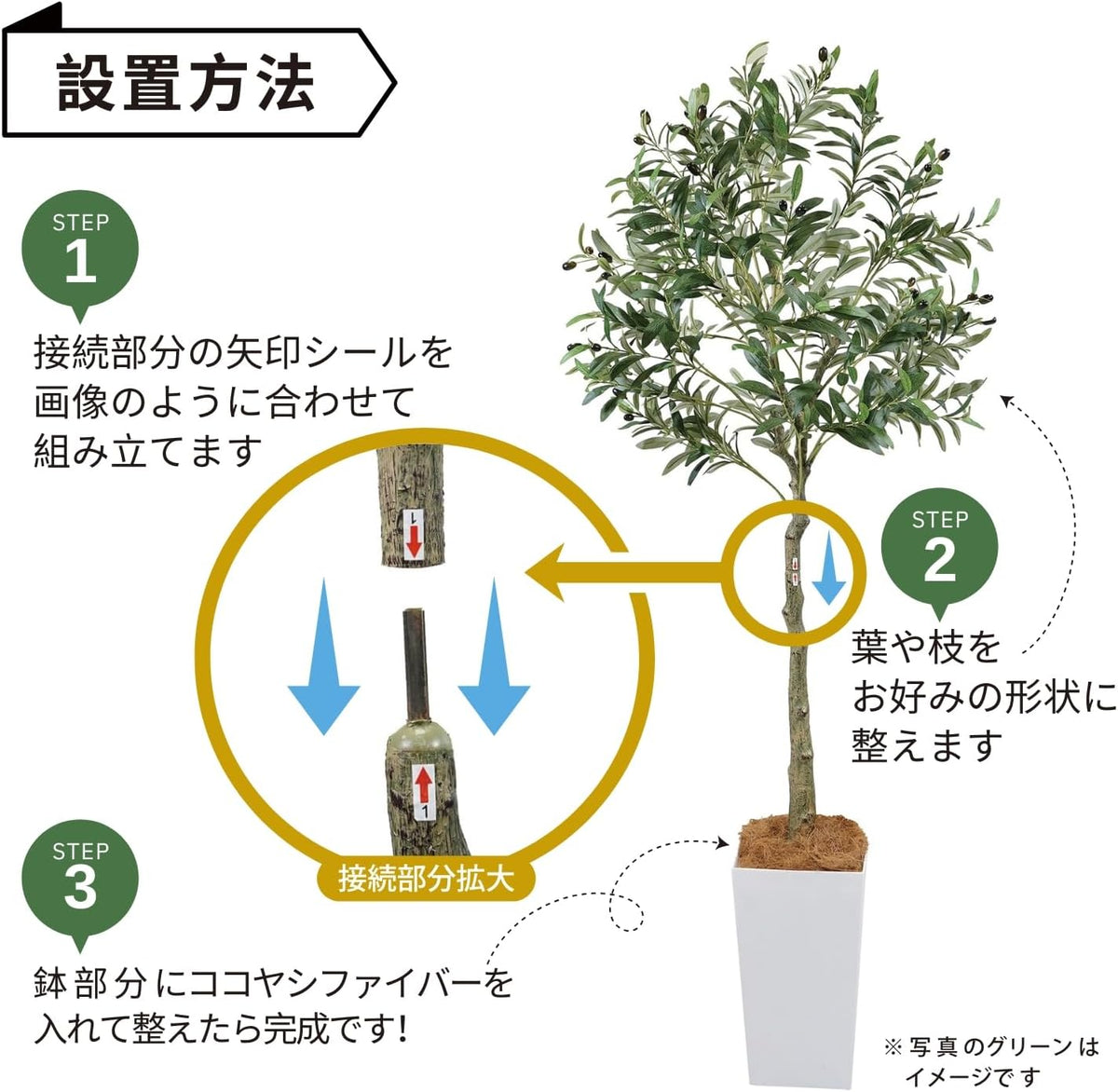 Botanical life+ フェイクグリーン 観葉植物 光触媒 大型 消臭 抗菌 シマトネリコ 220cm Kシリーズ  PT04