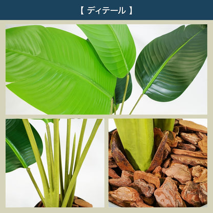 Botanical life+ フェイクグリーン 観葉植物 光触媒 日本製 消臭 抗菌 オーガスタ 120cm NBシリーズ  PT04