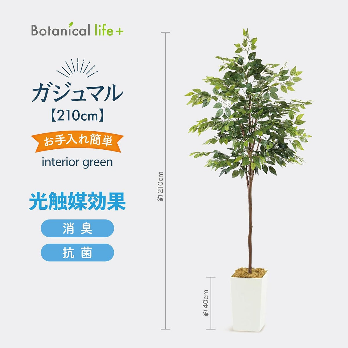 Botanical life+ フェイクグリーン 観葉植物 光触媒 大型 消臭 抗菌 ガジュマル 210cm Kシリーズ  PT01