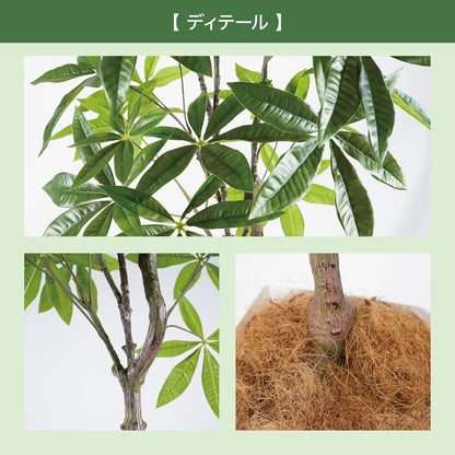 Botanical life+ フェイクグリーン 観葉植物 光触媒 大型 消臭 抗菌 パキラ 140cm Kシリーズ  PT03