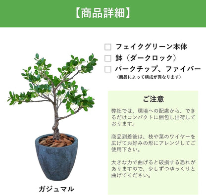 Botanical life+ フェイクグリーン 観葉植物 光触媒 日本製 消臭 抗菌 パンダガジュマル 70cm Dシリーズ  PT09