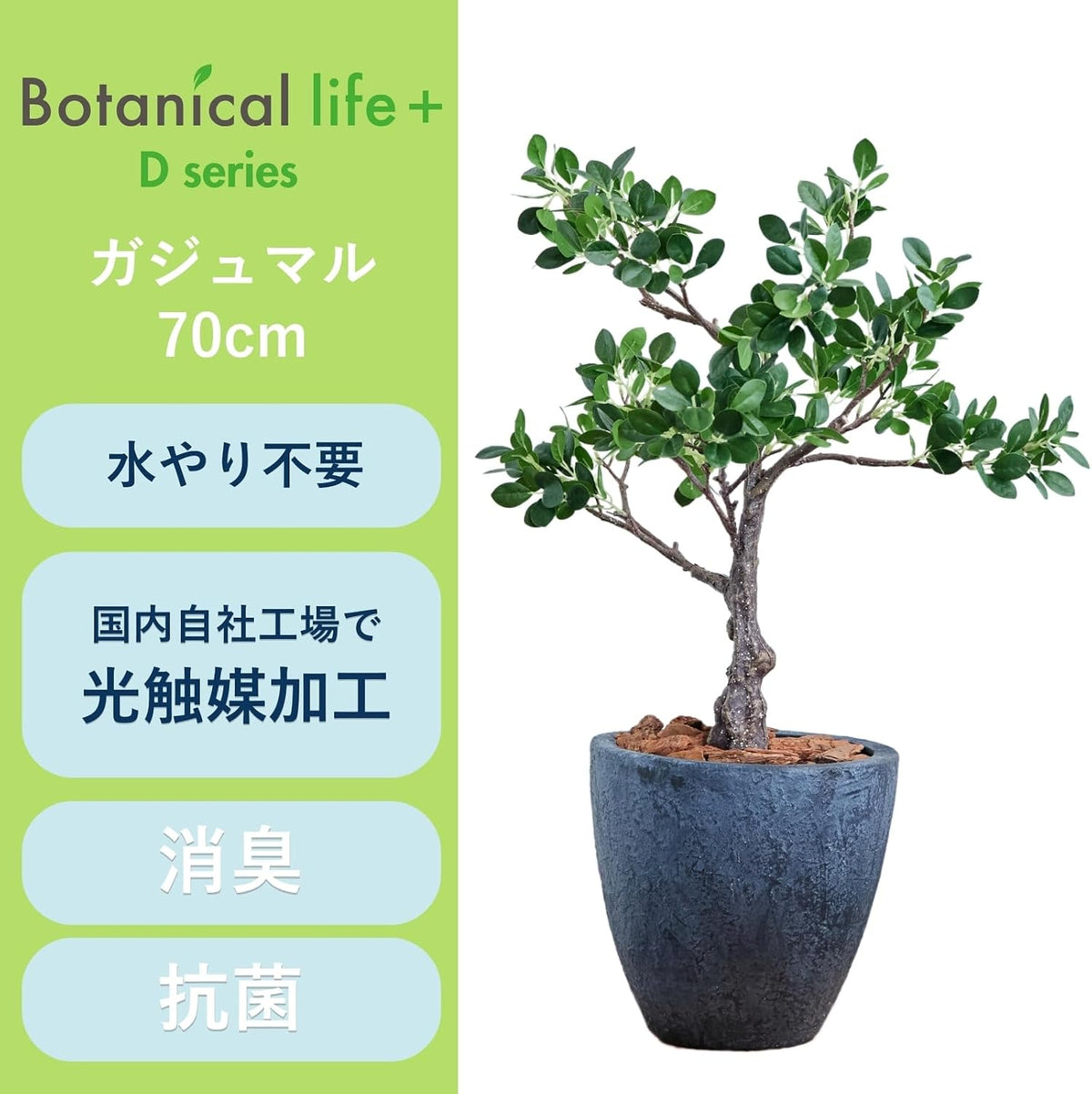 Botanical life+ フェイクグリーン 観葉植物 光触媒 日本製 消臭 抗菌 パンダガジュマル 70cm Dシリーズ  PT02
