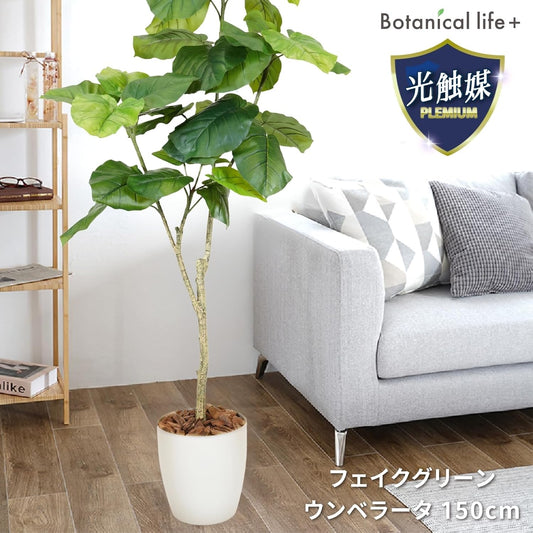 Botanical life+ フェイクグリーン 観葉植物 光触媒 日本製 消臭 抗菌 ウンベラータ 150cm NBシリーズ  PT01