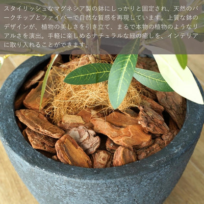 Botanical life+ フェイクグリーン 観葉植物 光触媒 日本製 消臭 抗菌 オリーブ 65cm Dシリーズ  PT03