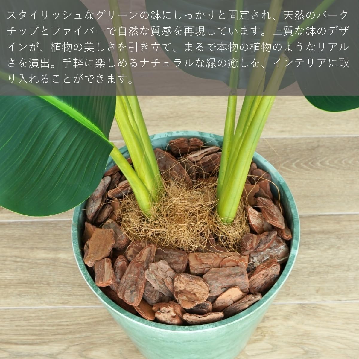 Botanical life+ フェイクグリーン 観葉植物 光触媒 日本製 消臭 抗菌 オーガスタ 80cm Dシリーズ  PT03